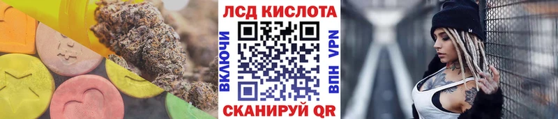 где купить наркоту  Озёры  Лсд 25 экстази ecstasy 